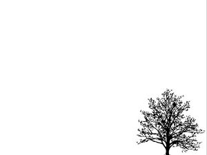 Preview wallpaper tree, branches, vector