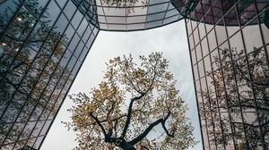 Preview wallpaper tree, building, reflection, architecture, glass
