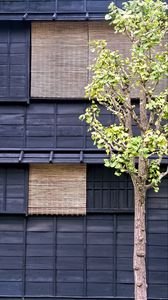 Preview wallpaper tree, building, wooden