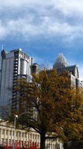 Preview wallpaper tree, buildings, architecture, sky