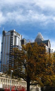 Preview wallpaper tree, buildings, architecture, sky