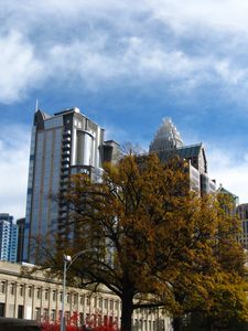 Preview wallpaper tree, buildings, architecture, sky