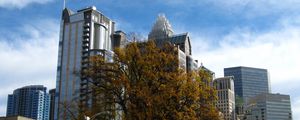 Preview wallpaper tree, buildings, architecture, sky