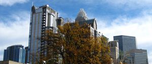 Preview wallpaper tree, buildings, architecture, sky