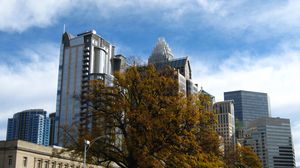 Preview wallpaper tree, buildings, architecture, sky