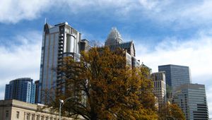 Preview wallpaper tree, buildings, architecture, sky