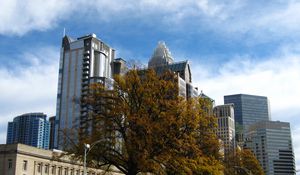 Preview wallpaper tree, buildings, architecture, sky