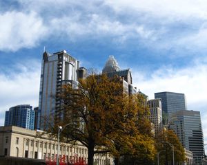 Preview wallpaper tree, buildings, architecture, sky