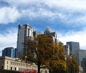 Preview wallpaper tree, buildings, architecture, sky