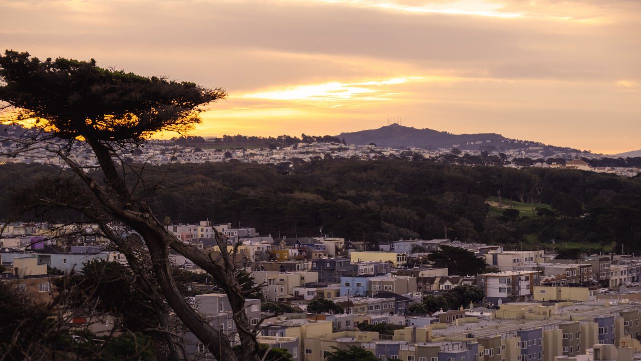 Wallpaper tree, buildings, houses, sunset