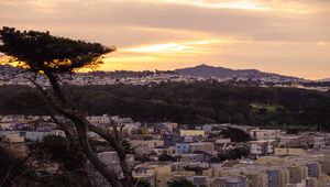 Preview wallpaper tree, buildings, houses, sunset