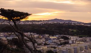 Preview wallpaper tree, buildings, houses, sunset