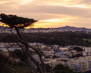 Preview wallpaper tree, buildings, houses, sunset