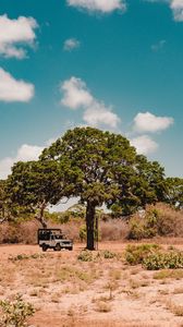 Preview wallpaper tree, car, savanna, wildlife, bushes, vegetation