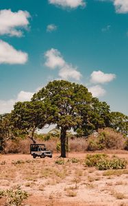 Preview wallpaper tree, car, savanna, wildlife, bushes, vegetation