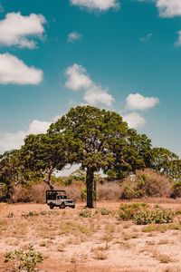 Preview wallpaper tree, car, savanna, wildlife, bushes, vegetation