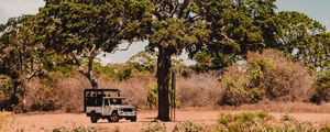 Preview wallpaper tree, car, savanna, wildlife, bushes, vegetation