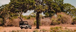 Preview wallpaper tree, car, savanna, wildlife, bushes, vegetation