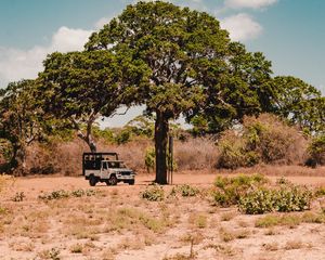 Preview wallpaper tree, car, savanna, wildlife, bushes, vegetation