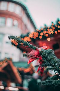 Preview wallpaper tree, christmas toy, christmas, new year, glare, bokeh, blur