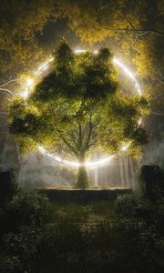 Preview wallpaper tree, circle, glow, art