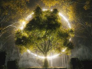 Preview wallpaper tree, circle, glow, art