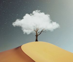 Preview wallpaper tree, cloud, desert, hill, sand