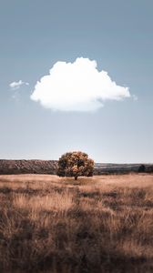 Preview wallpaper tree, cloud, field, grass