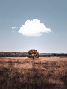 Preview wallpaper tree, cloud, field, grass