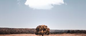 Preview wallpaper tree, cloud, field, grass
