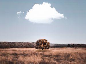 Preview wallpaper tree, cloud, field, grass