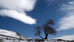 Preview wallpaper tree, cloud, snow, earth, lonely