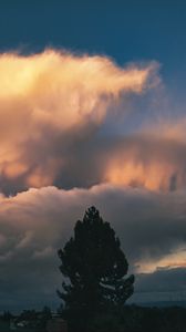 Preview wallpaper tree, clouds, sky, twilight, dark