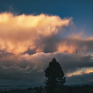 Preview wallpaper tree, clouds, sky, twilight, dark
