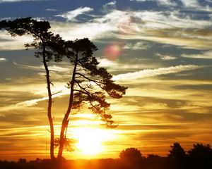 Preview wallpaper tree, clouds, sky, easy, air, weightless, decline, evening