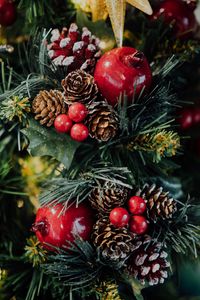 Preview wallpaper tree, cones, berries, new year, christmas