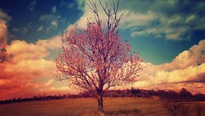 Preview wallpaper tree, crown, branches, landscape, clouds