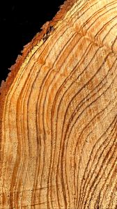 Preview wallpaper tree, cut, rings, texture, timber, surface