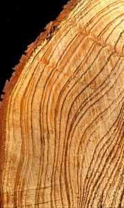 Preview wallpaper tree, cut, rings, texture, timber, surface