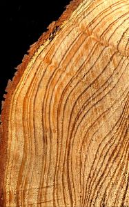 Preview wallpaper tree, cut, rings, texture, timber, surface