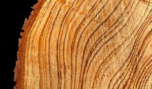 Preview wallpaper tree, cut, rings, texture, timber, surface