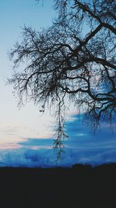 Preview wallpaper tree, dark, clouds, twilight, evening