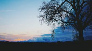 Preview wallpaper tree, dark, clouds, twilight, evening