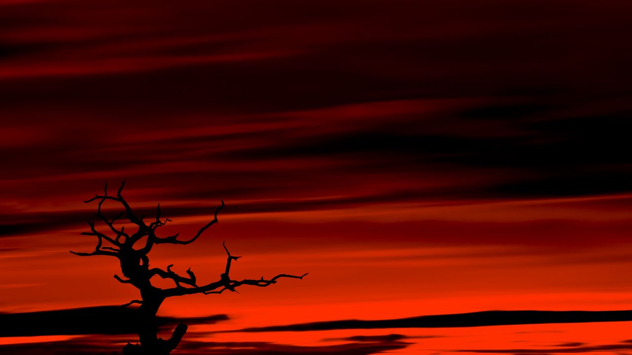 Wallpaper tree, dark, sky, dusk, red