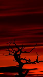 Preview wallpaper tree, dark, sky, dusk, red