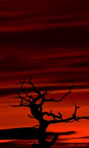 Preview wallpaper tree, dark, sky, dusk, red