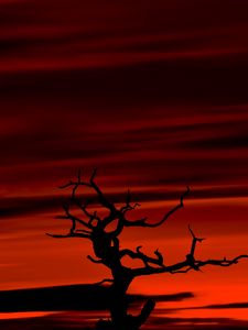 Preview wallpaper tree, dark, sky, dusk, red