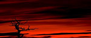 Preview wallpaper tree, dark, sky, dusk, red