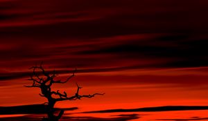 Preview wallpaper tree, dark, sky, dusk, red