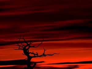 Preview wallpaper tree, dark, sky, dusk, red